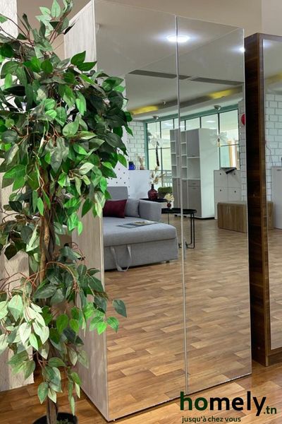 Meuble Reo deux portes avec Miroir